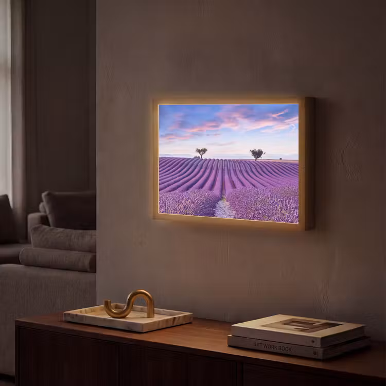 Lightbox - Wandlamp - Lavendel - Natuur - Paars - Bomen - Bloemen — 2