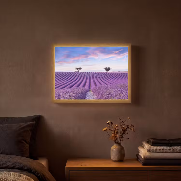 Lightbox - Wandlamp - Lavendel - Natuur - Paars - Bomen - Bloemen — 3