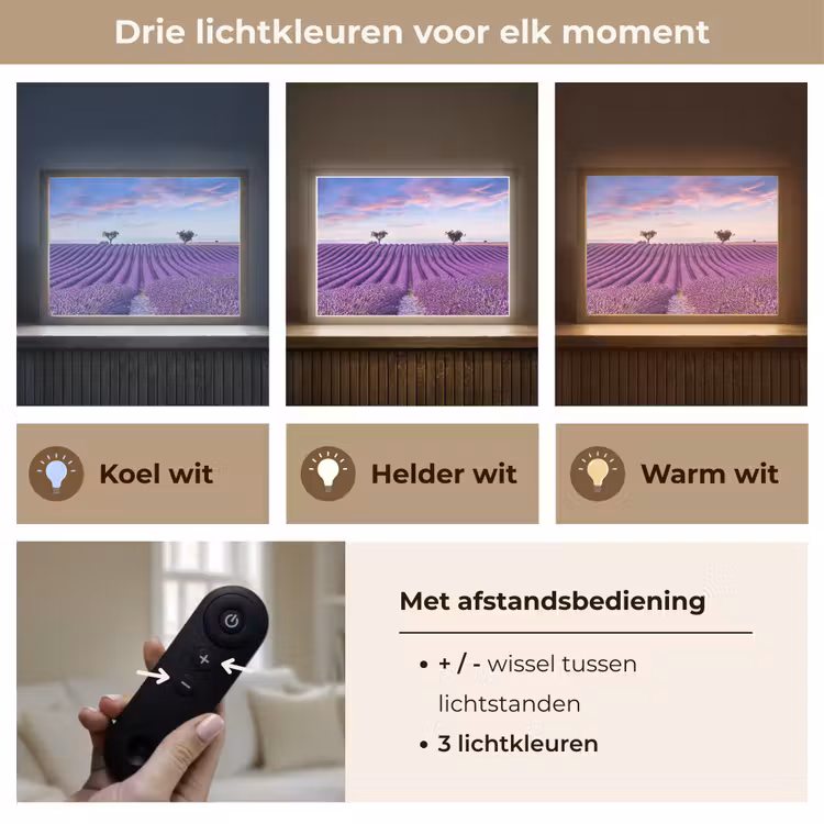 Lightbox - Wandlamp - Lavendel - Natuur - Paars - Bomen - Bloemen — 8