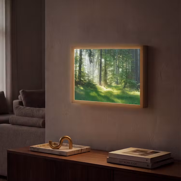 Lightbox - Wandlamp - Natuur - Bomen - Bos - Groen - Zon - Gras - Planten — 2