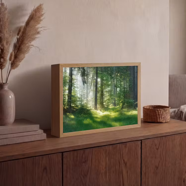 Lightbox - Wandlamp - Natuur - Bomen - Bos - Groen - Zon - Gras - Planten — 4