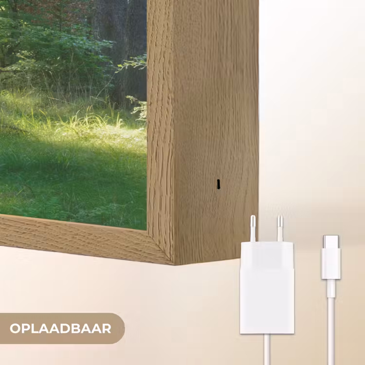 Lightbox - Wandlamp - Natuur - Bomen - Bos - Groen - Zon - Gras - Planten — 7