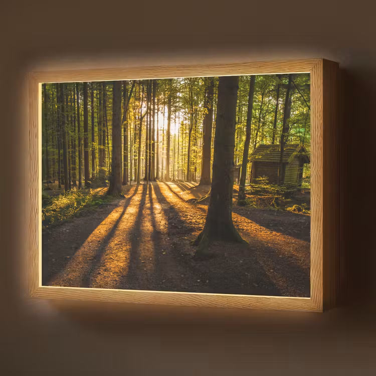 Lightbox - Wandlamp - Zon - Bomen - Bos - Landschap - Natuur — 1