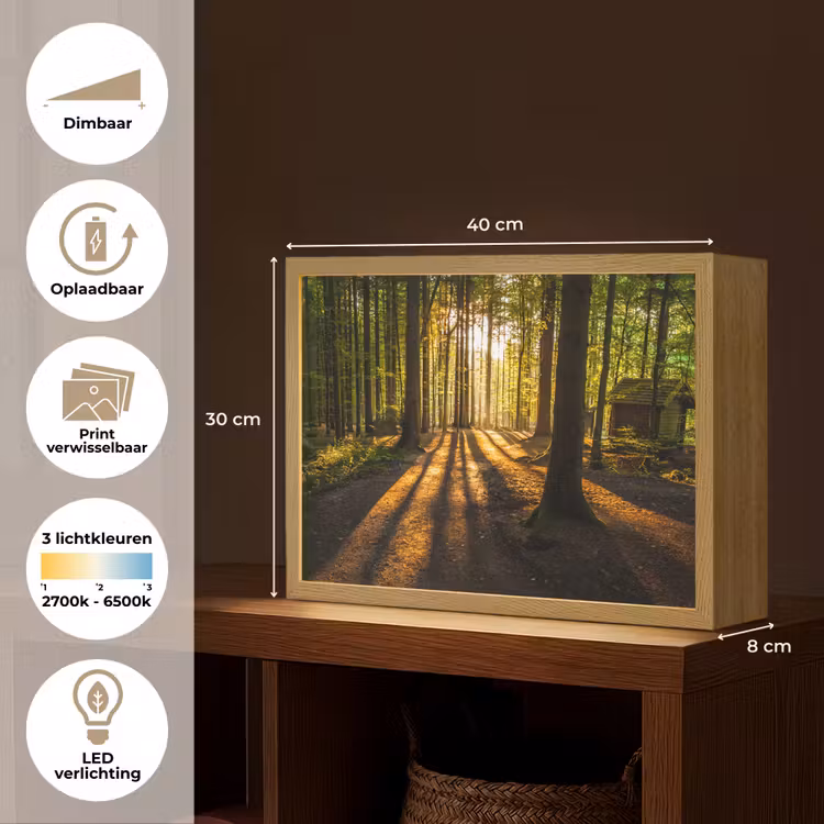 Lightbox - Wandlamp - Zon - Bomen - Bos - Landschap - Natuur — 10