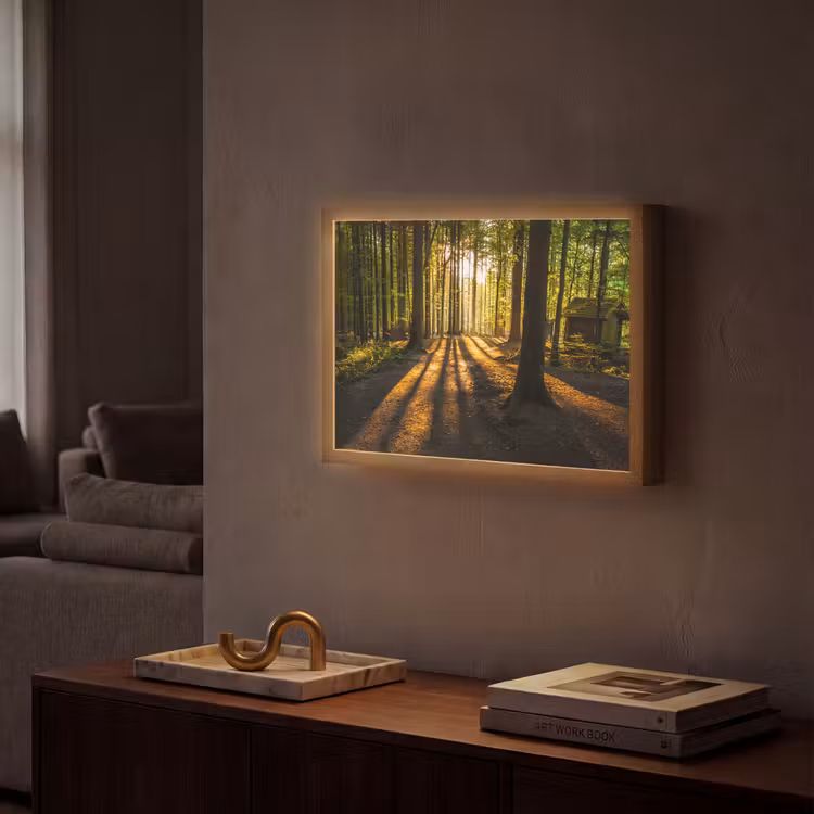 Lightbox - Wandlamp - Zon - Bomen - Bos - Landschap - Natuur — 2
