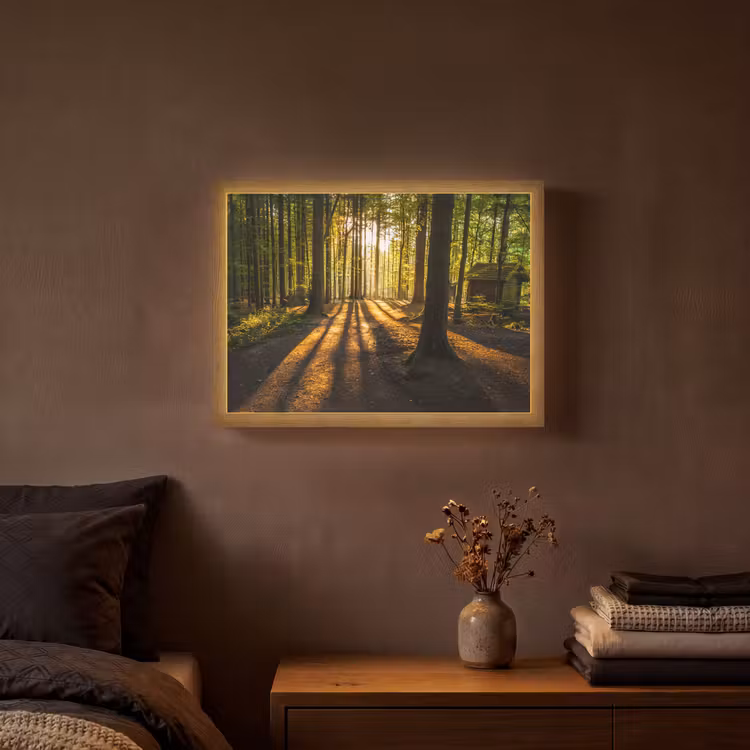Lightbox - Wandlamp - Zon - Bomen - Bos - Landschap - Natuur — 3