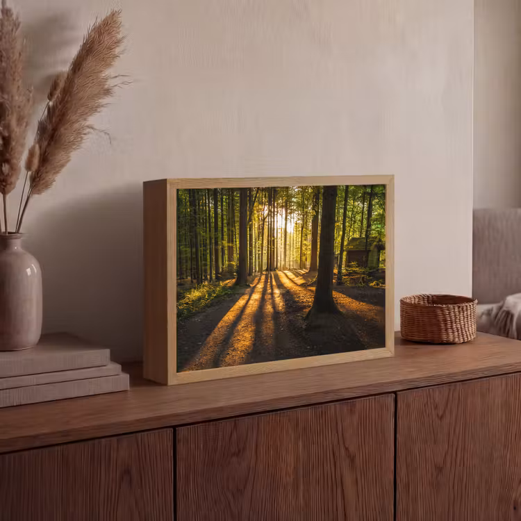Lightbox - Wandlamp - Zon - Bomen - Bos - Landschap - Natuur — 4