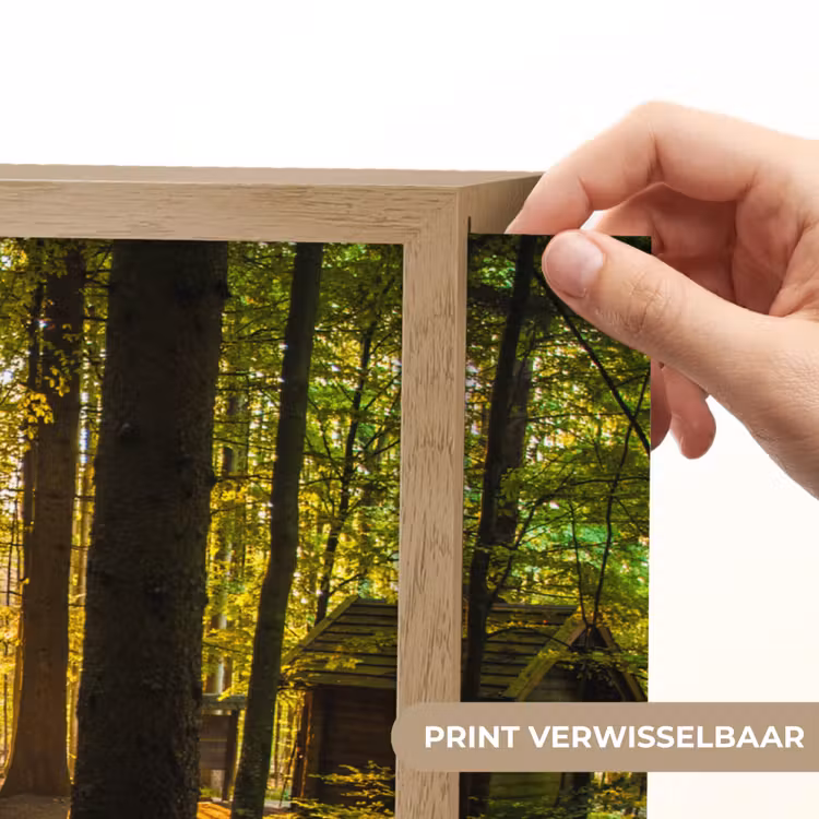 Lightbox - Wandlamp - Zon - Bomen - Bos - Landschap - Natuur — 5
