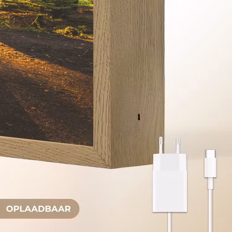 Lightbox - Wandlamp - Zon - Bomen - Bos - Landschap - Natuur — 7