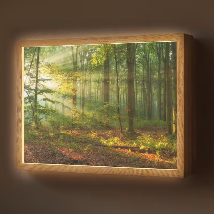 Lightbox - Wandlamp - Zon - Bos - Bomen - Natuur - Herfst — 1