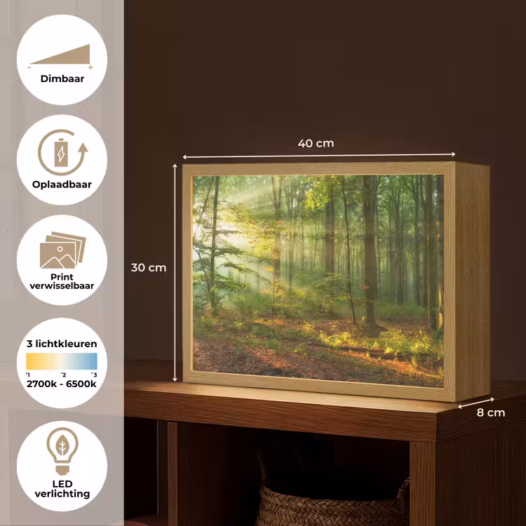 Lightbox - Wandlamp - Zon - Bos - Bomen - Natuur - Herfst — 10