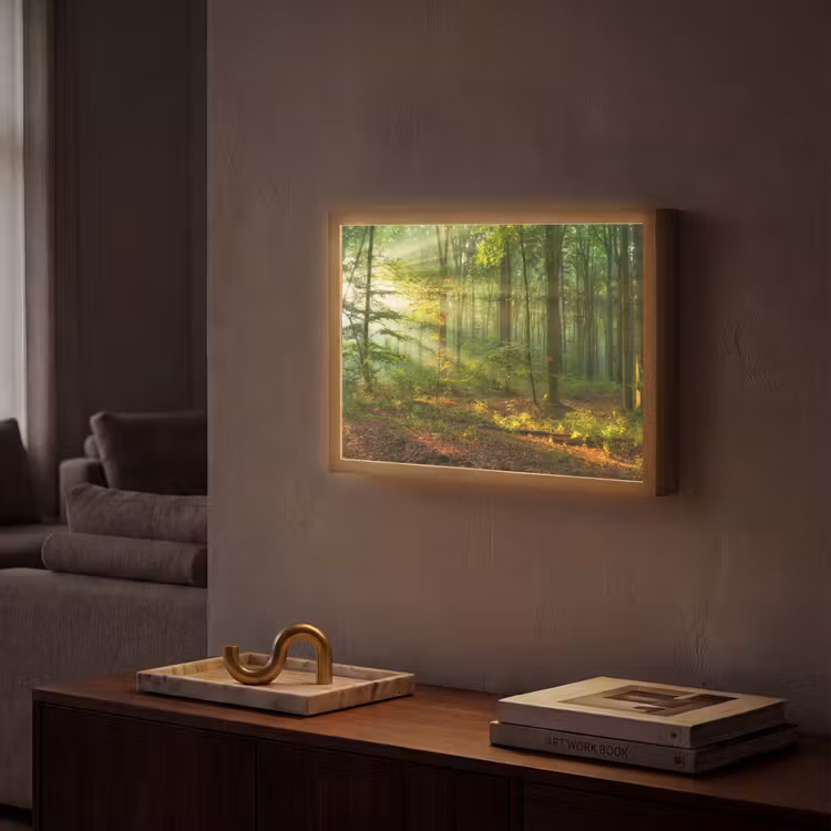 Lightbox - Wandlamp - Zon - Bos - Bomen - Natuur - Herfst — 2