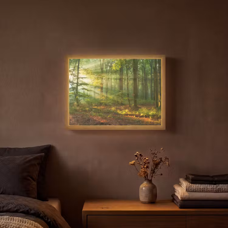 Lightbox - Wandlamp - Zon - Bos - Bomen - Natuur - Herfst — 3