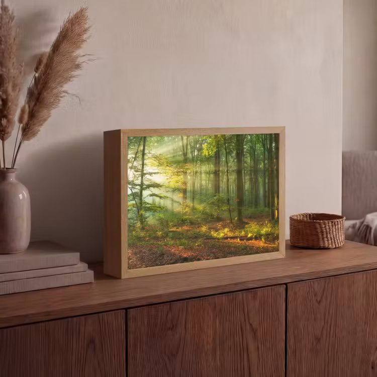 Lightbox - Wandlamp - Zon - Bos - Bomen - Natuur - Herfst — 4