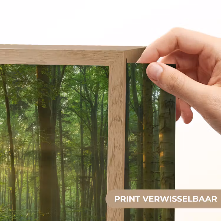 Lightbox - Wandlamp - Zon - Bos - Bomen - Natuur - Herfst — 5