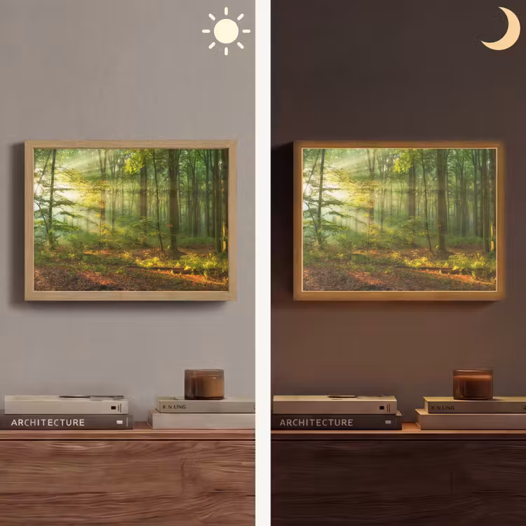 Lightbox - Wandlamp - Zon - Bos - Bomen - Natuur - Herfst — 6