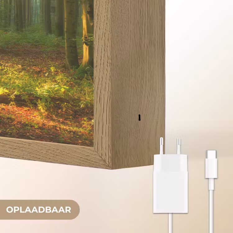 Lightbox - Wandlamp - Zon - Bos - Bomen - Natuur - Herfst — 7