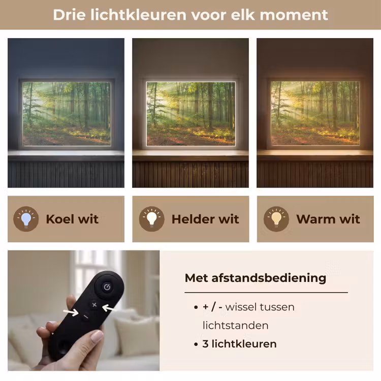 Lightbox - Wandlamp - Zon - Bos - Bomen - Natuur - Herfst — 8