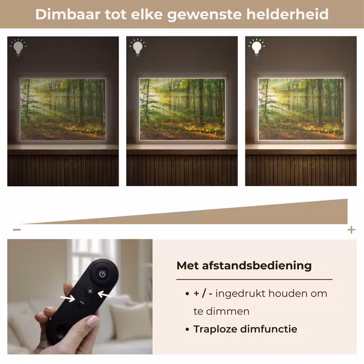 Lightbox - Wandlamp - Zon - Bos - Bomen - Natuur - Herfst — 9