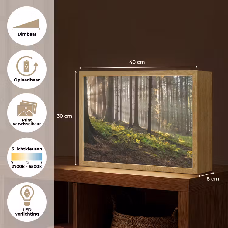 Lightbox - Wandlamp - Zon - Takken - Bomen - Bos - Natuur — 10