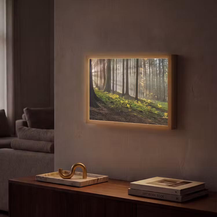 Lightbox - Wandlamp - Zon - Takken - Bomen - Bos - Natuur — 2