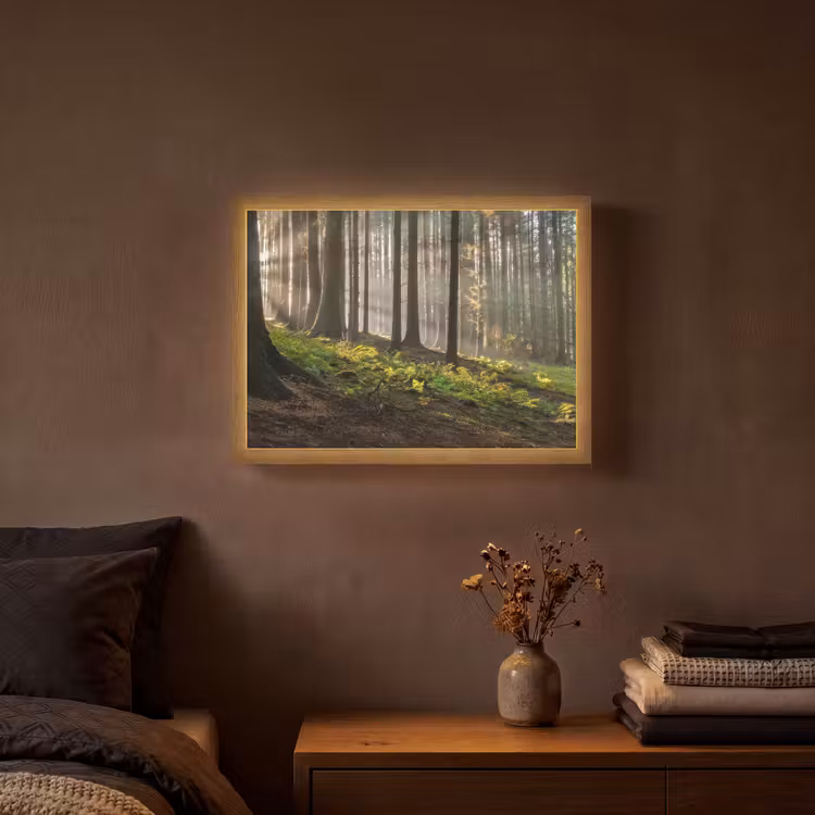 Lightbox - Wandlamp - Zon - Takken - Bomen - Bos - Natuur — 3