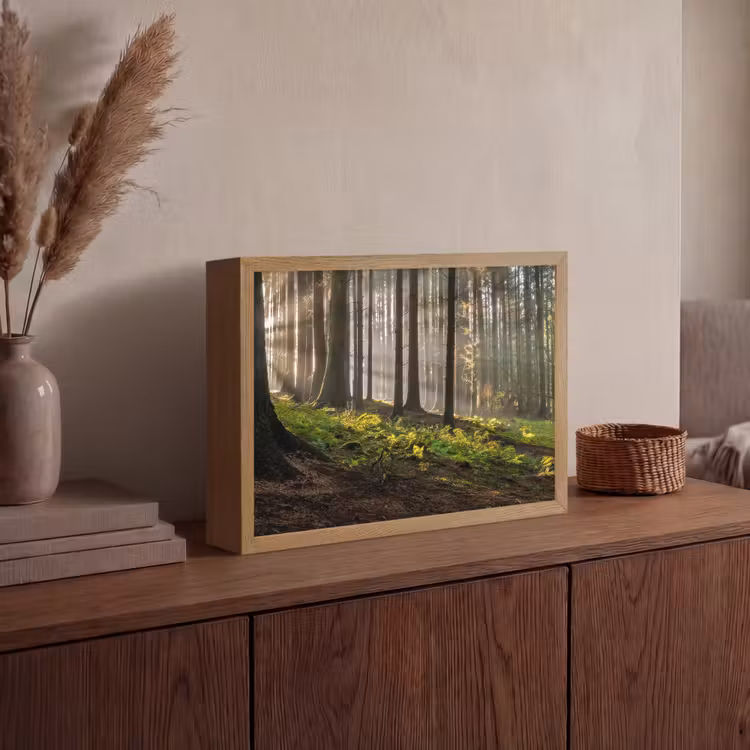 Lightbox - Wandlamp - Zon - Takken - Bomen - Bos - Natuur — 4