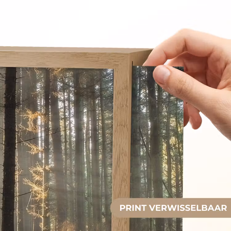 Lightbox - Wandlamp - Zon - Takken - Bomen - Bos - Natuur — 5
