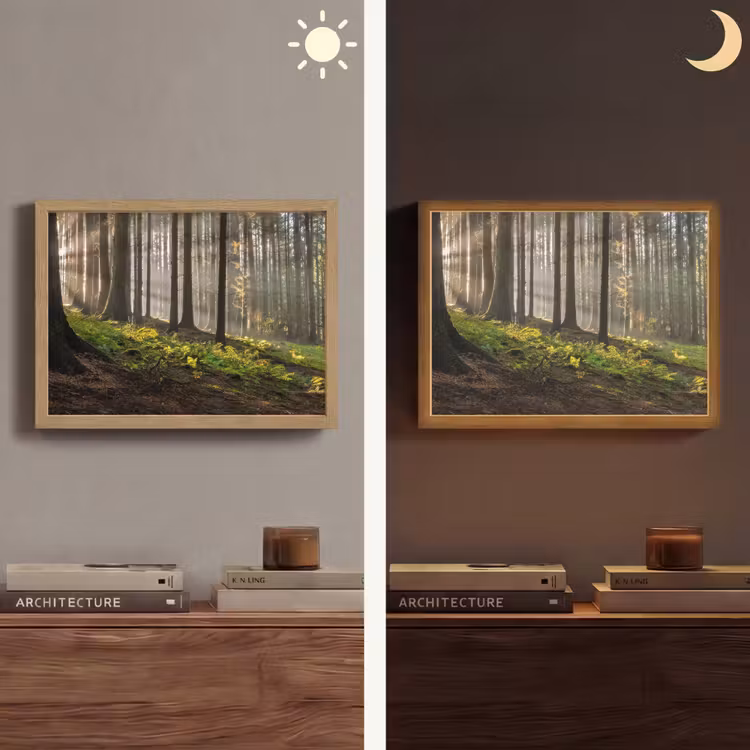 Lightbox - Wandlamp - Zon - Takken - Bomen - Bos - Natuur — 6