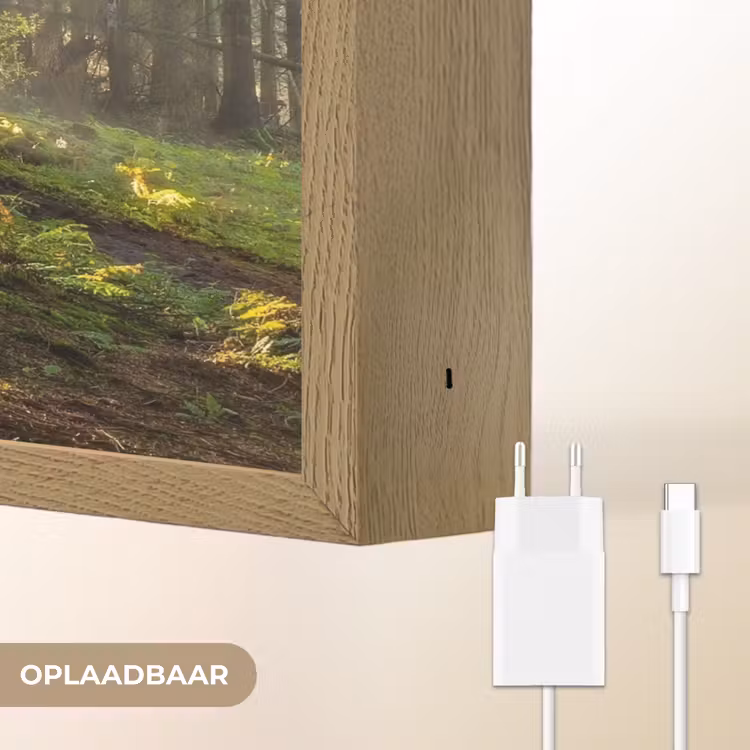 Lightbox - Wandlamp - Zon - Takken - Bomen - Bos - Natuur — 7