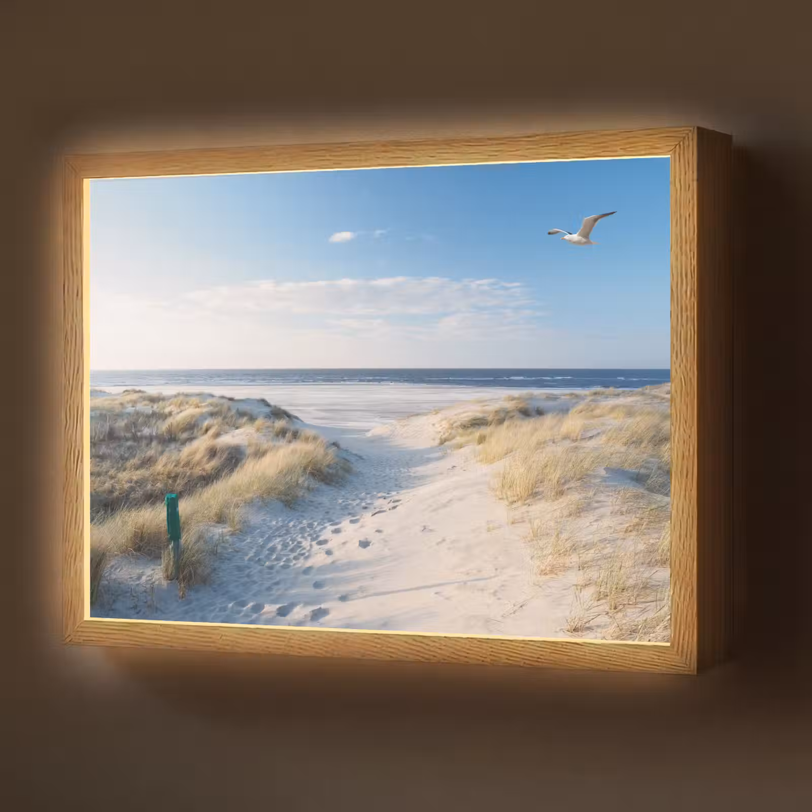 Lightbox - Wandlamp - Duin - Meeuw - Strand - Zee - Zon — 1