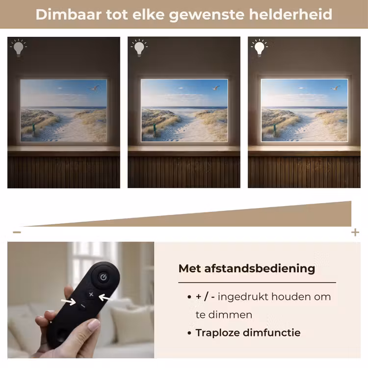 Lightbox - Wandlamp - Duin - Meeuw - Strand - Zee - Zon — 9