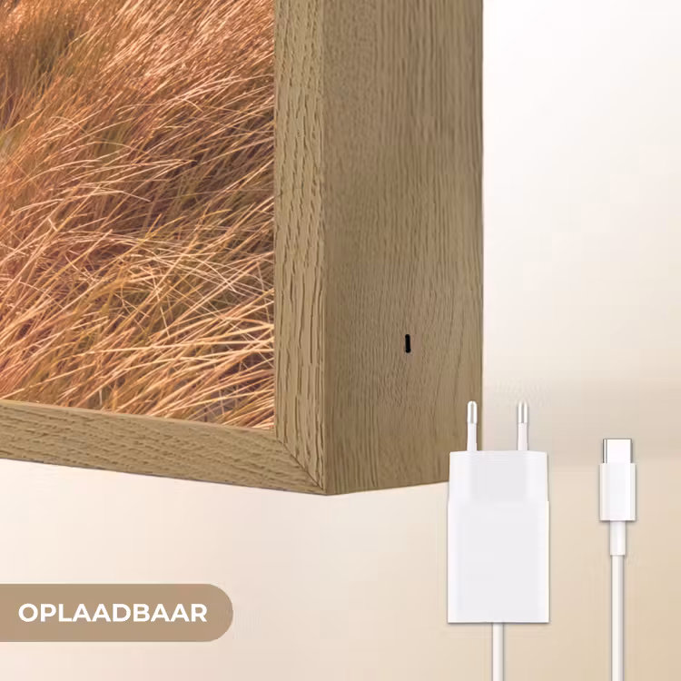 Lightbox - Wandlamp - Duin - Planten - Zonsondergang - Strand - Zee — 7