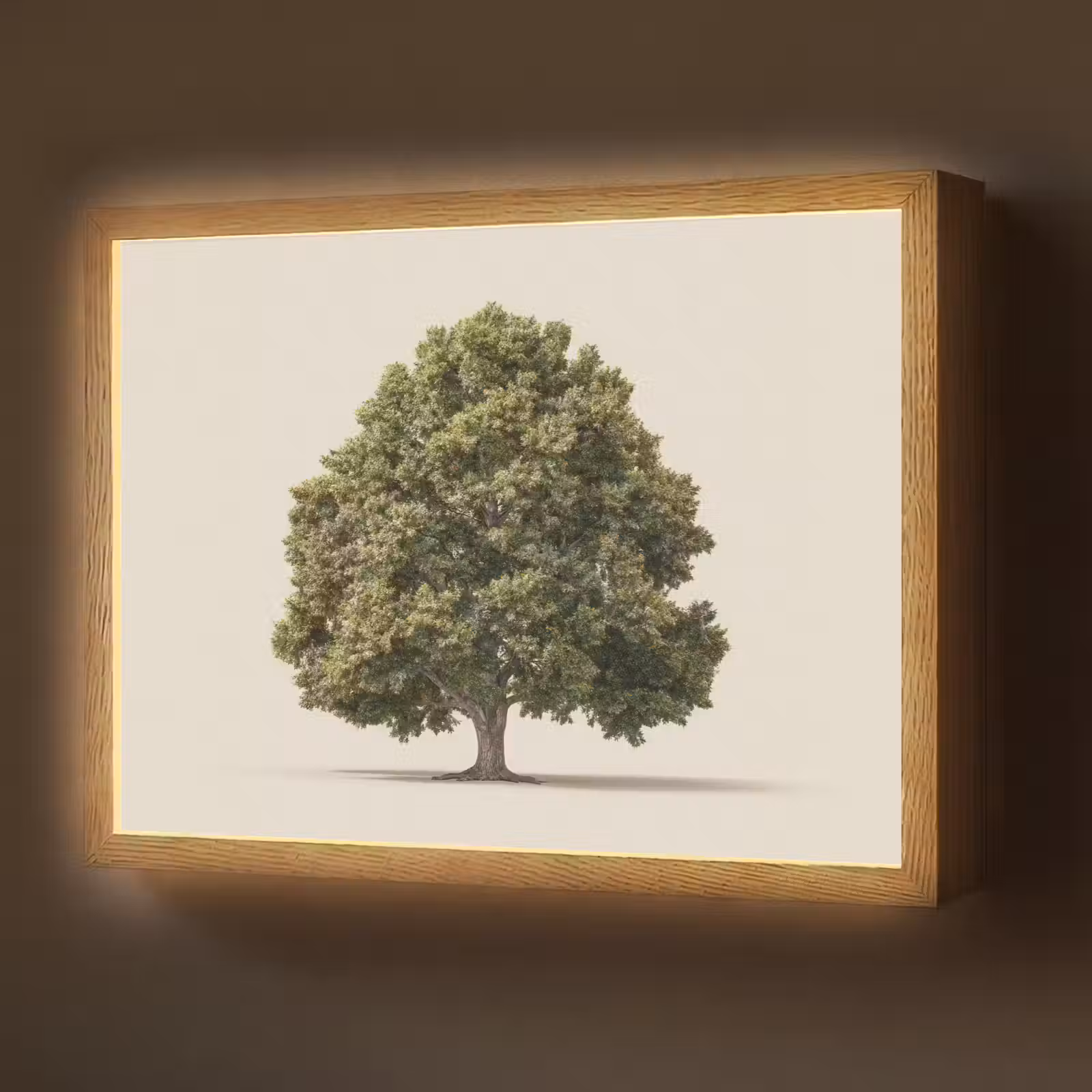 Lightbox - Wandlamp - Eikenboom - Groen - Lichte achtergrond — 1