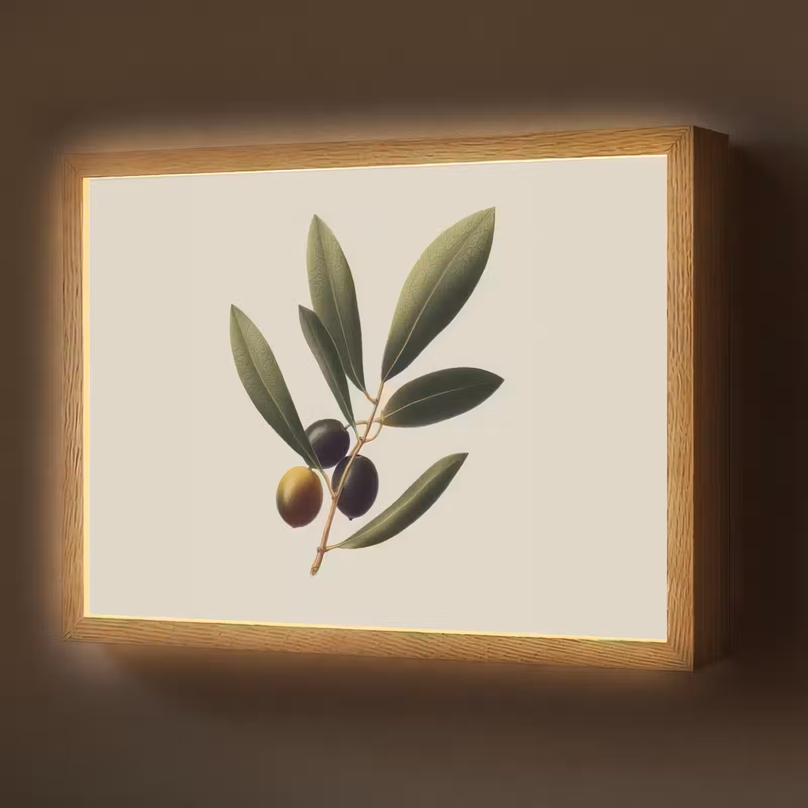 Lightbox - Wandlamp - Olijftak - Donkergroen - Olijven — 1