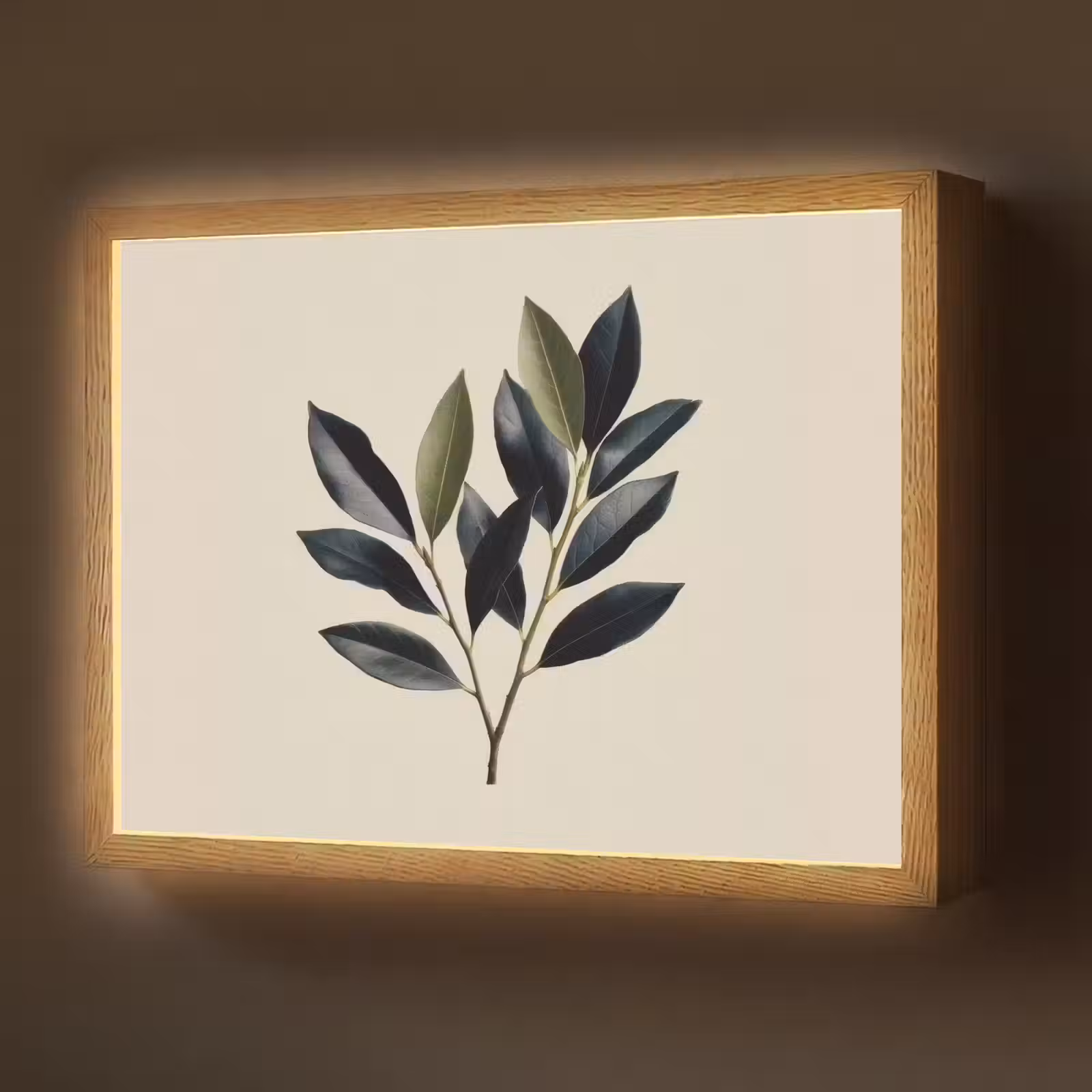 Lightbox - Wandlamp - Ovaal - Olijfgroen - Simpel — 1