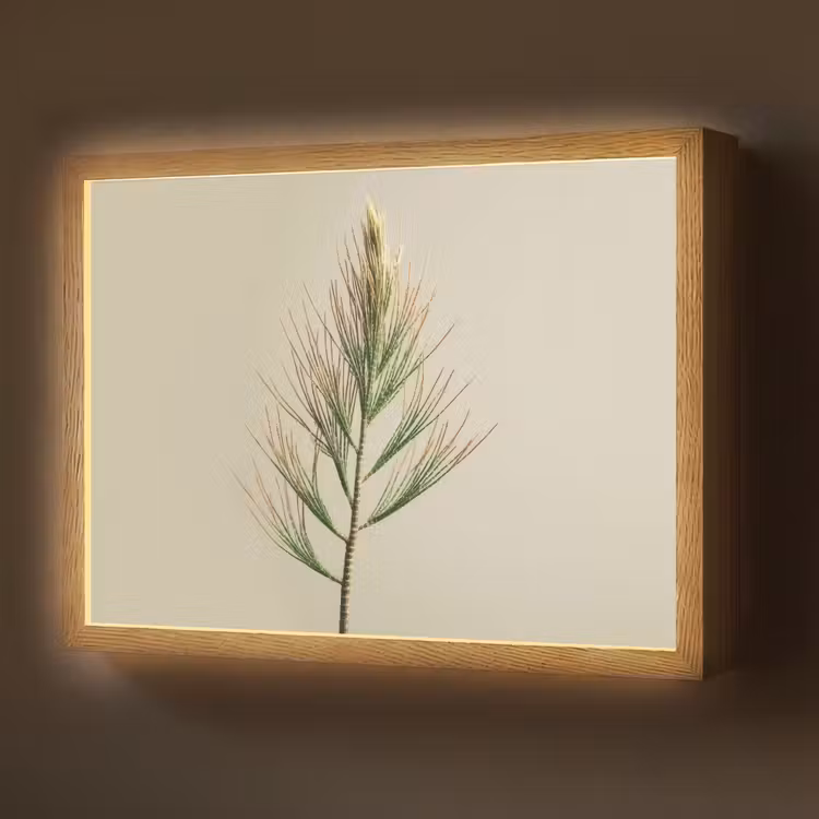Lightbox - Wandlamp - Dennentak - Naaldvormige bladeren - Lichtgroen — 1