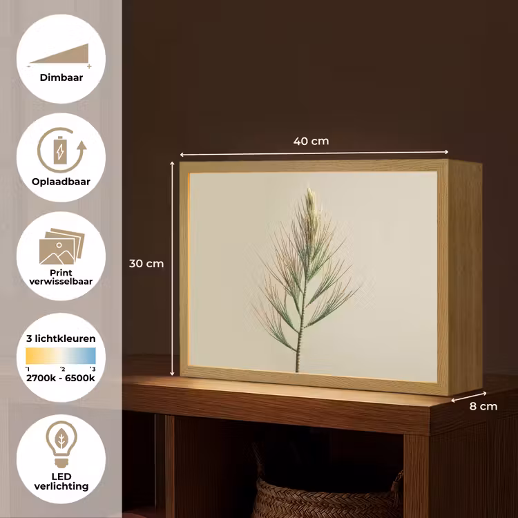 Lightbox - Wandlamp - Dennentak - Naaldvormige bladeren - Lichtgroen — 10