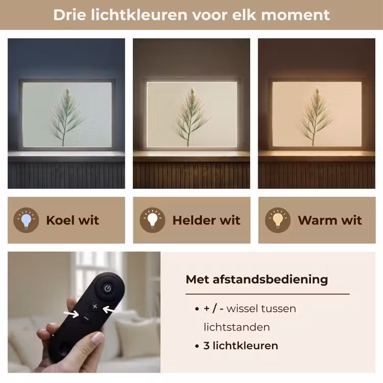 Lightbox - Wandlamp - Dennentak - Naaldvormige bladeren - Lichtgroen — 8
