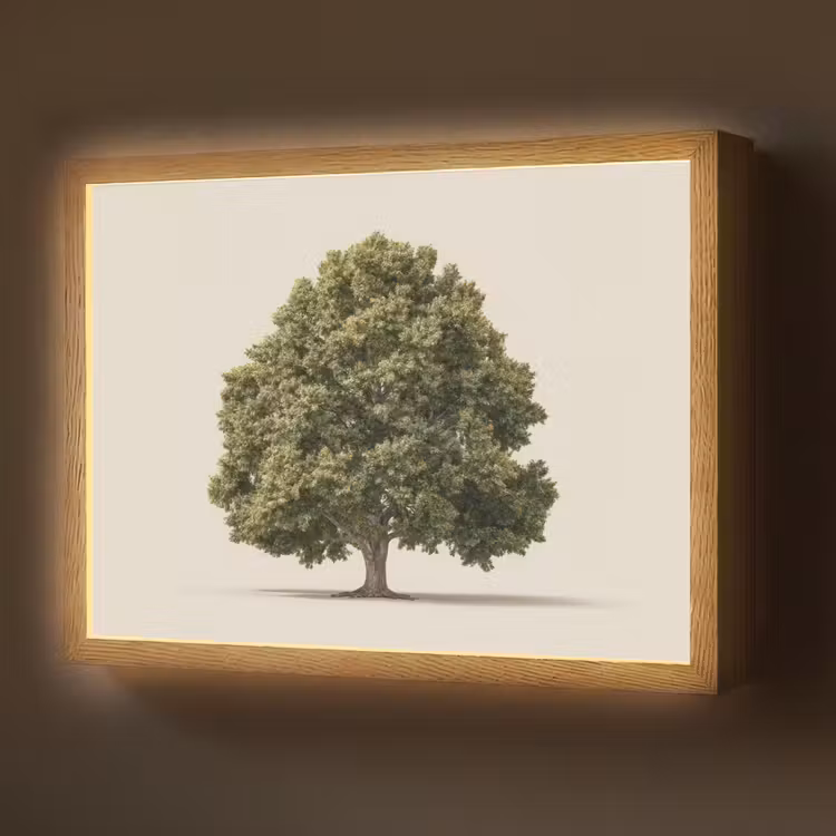 Lightbox - Wandlamp - Eikenboom - Groen - Lichte achtergrond — 1