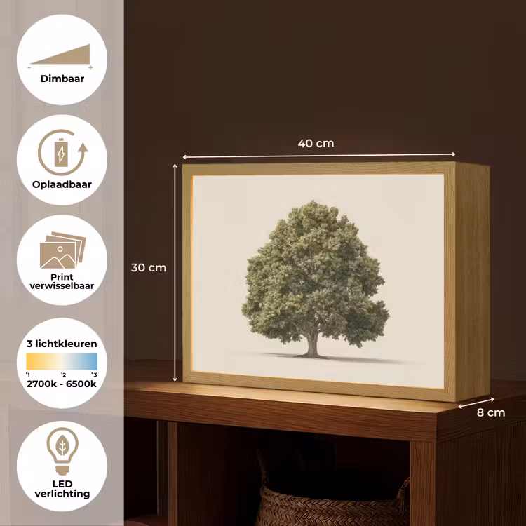 Lightbox - Wandlamp - Eikenboom - Groen - Lichte achtergrond — 10