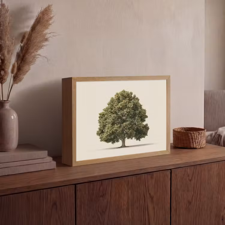 Lightbox - Wandlamp - Eikenboom - Groen - Lichte achtergrond — 4