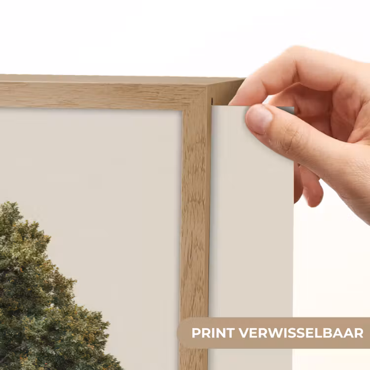 Lightbox - Wandlamp - Eikenboom - Groen - Lichte achtergrond — 5