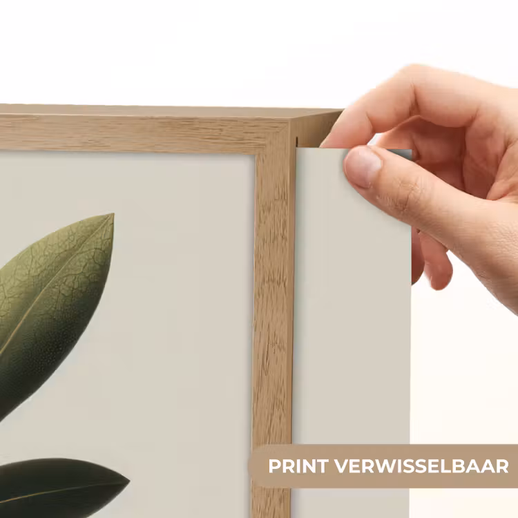 Lightbox - Wandlamp - Olijftak - Donkergroen - Olijven — 5