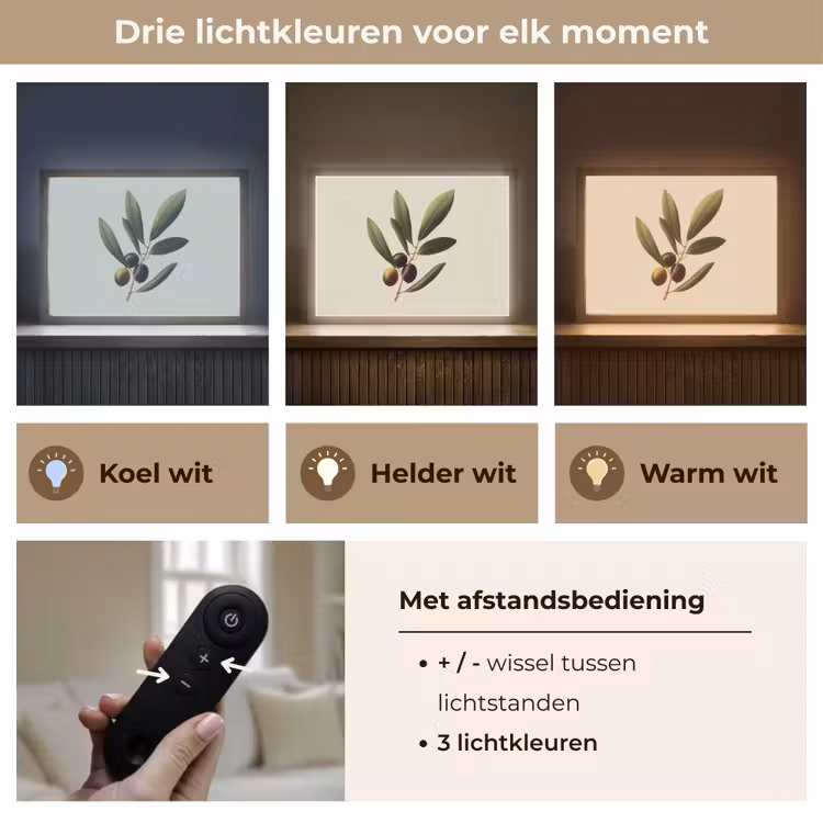 Lightbox - Wandlamp - Olijftak - Donkergroen - Olijven — 8