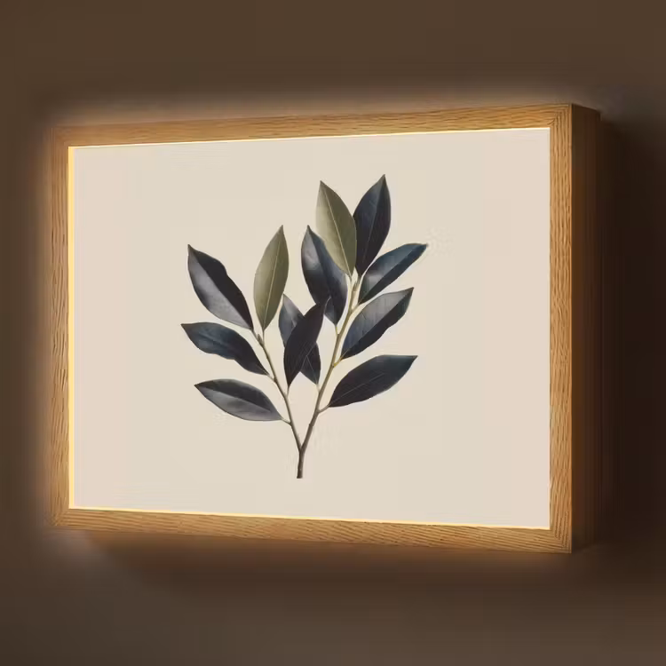 Lightbox - Wandlamp - Ovaal - Olijfgroen - Simpel — 1