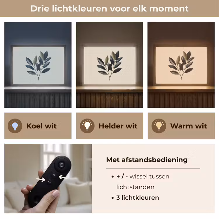 Lightbox - Wandlamp - Ovaal - Olijfgroen - Simpel — 8