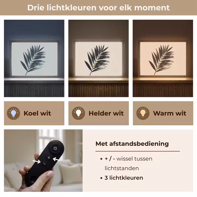 Lightbox - Wandlamp - Palmblad - Subtiel - Groen - beige — 8