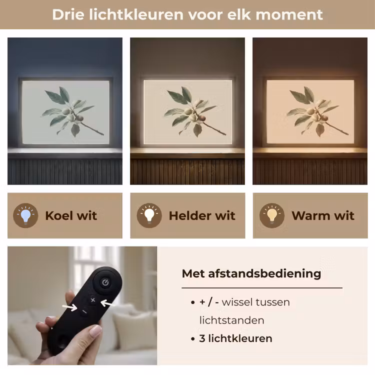 Lightbox - Wandlamp - Tak - Groene Bladeren - Vruchten — 8