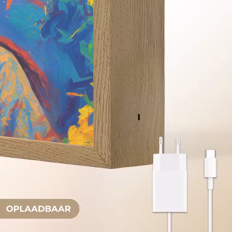 Lightbox - Wandlamp - Regenboogkleuren - Man - schilderij — 7